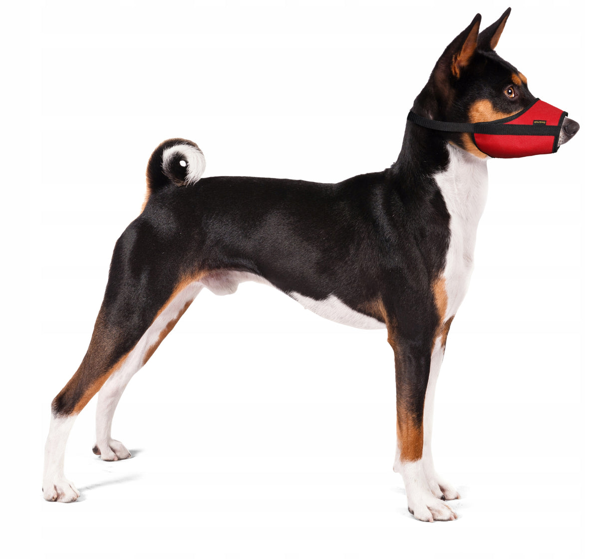 Veterinary Dog muzzle red r.5(XL)