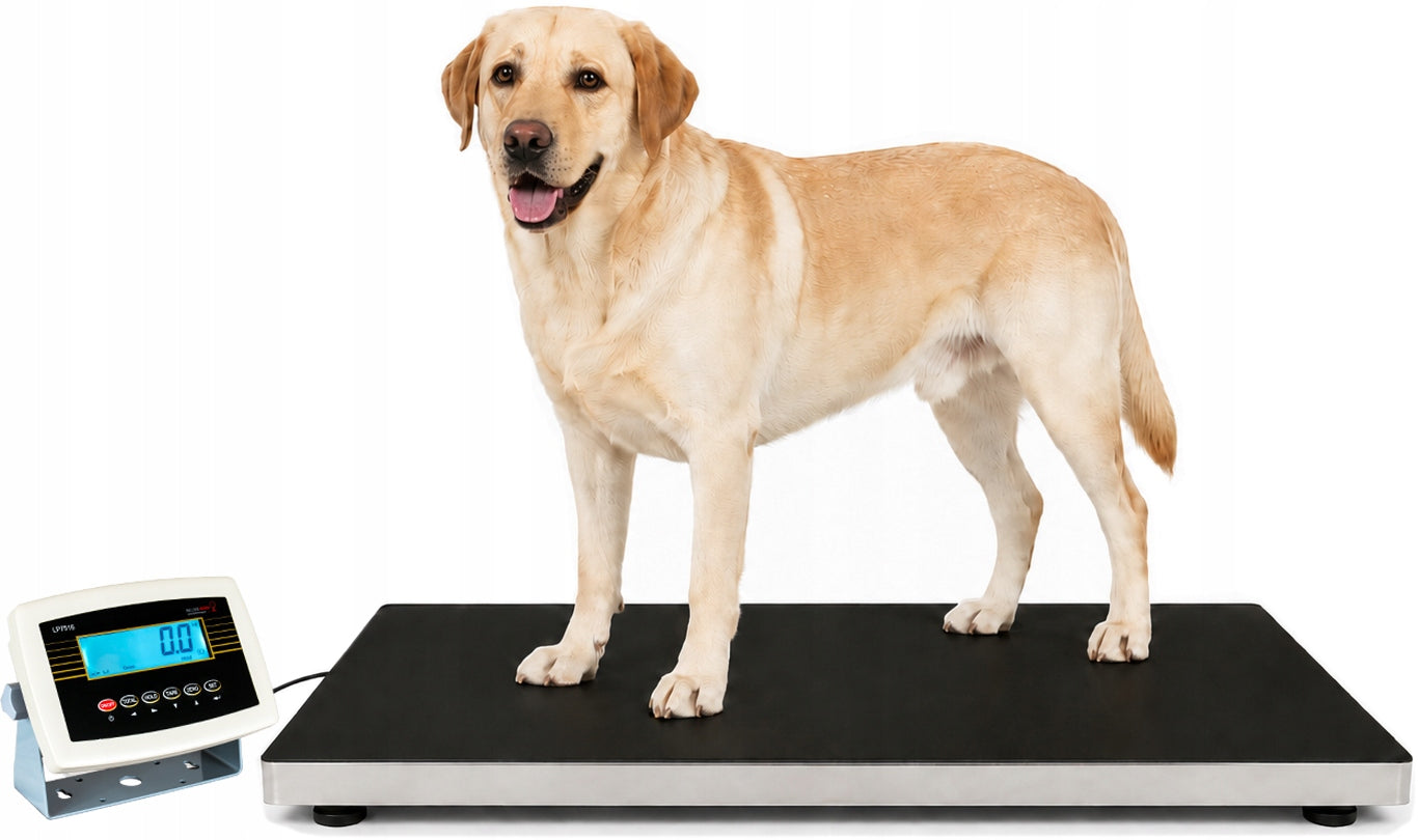 Veterinary Scale 300kg for Animal Cabinet PREMIUM + Mat Bielskie Wagi