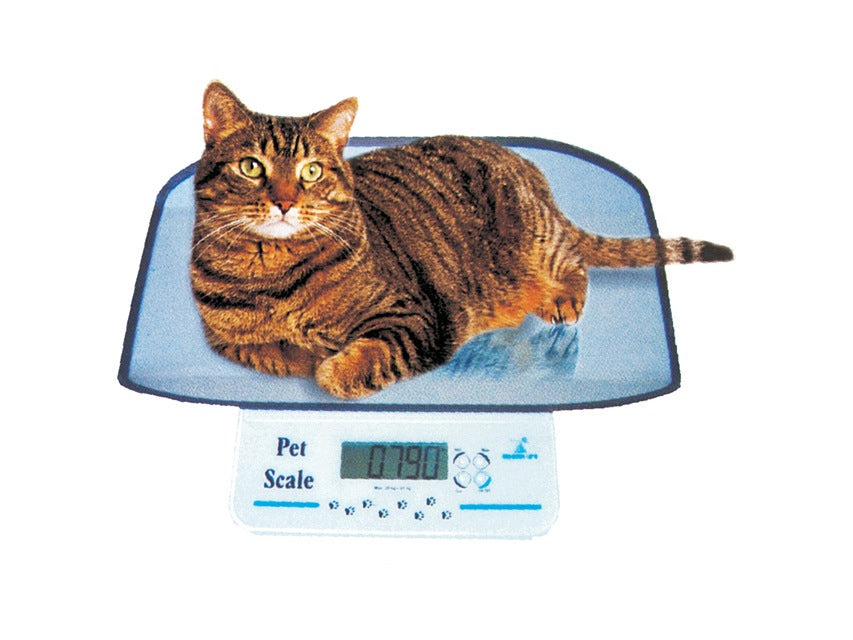 Veterinary Scale Small Momert 6550 20 kg/10g for cats and small dogs