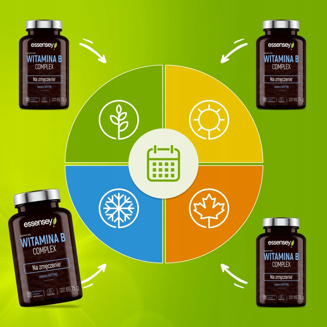 Vitamin B Complex Full Spectrum For 90 Days – For Fatigue, Nerves and Mind Packaging status original