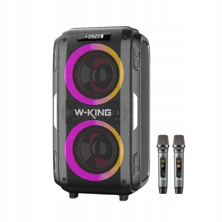 W-King T9 Pro Speaker with 2 Microphones 250W Peak, RMS, IPX6, RGB, Karaoke