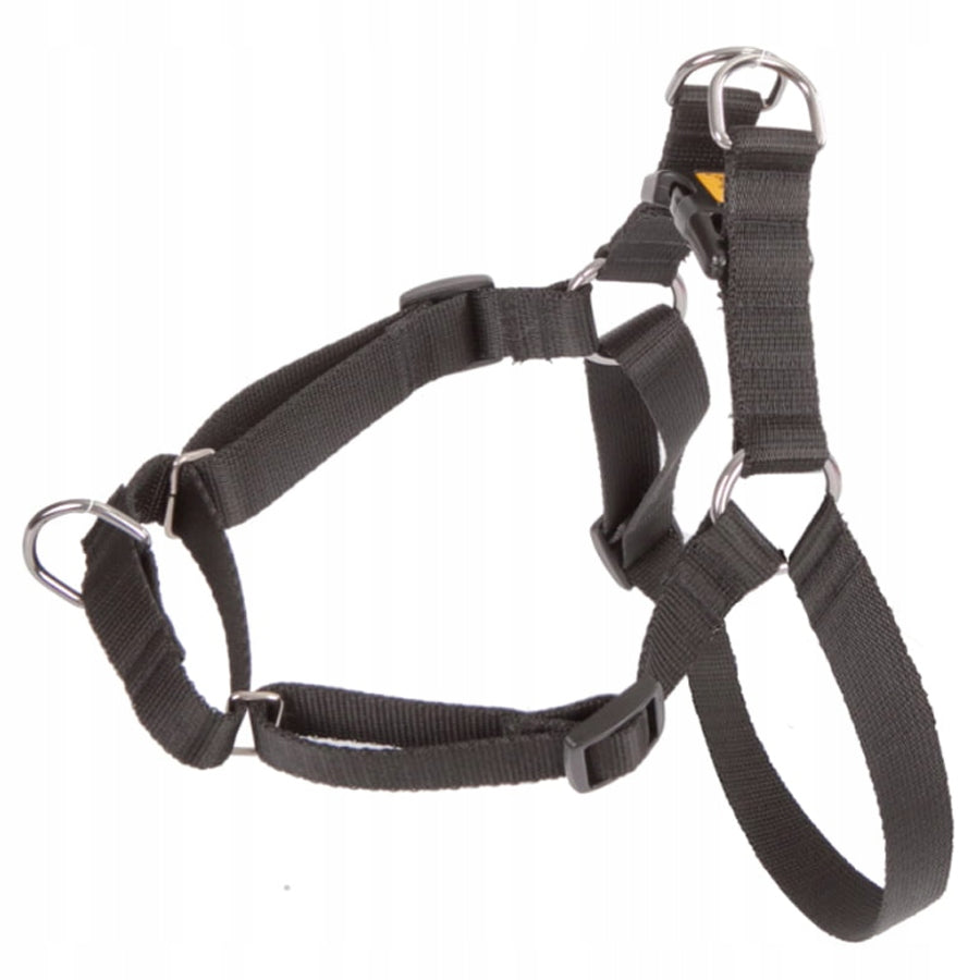 WALKING HARNESS BLACK EASY WALK FOR DOG ADJUSTABLE TAPE 1,6CM 48-64 CM Brand Dingo