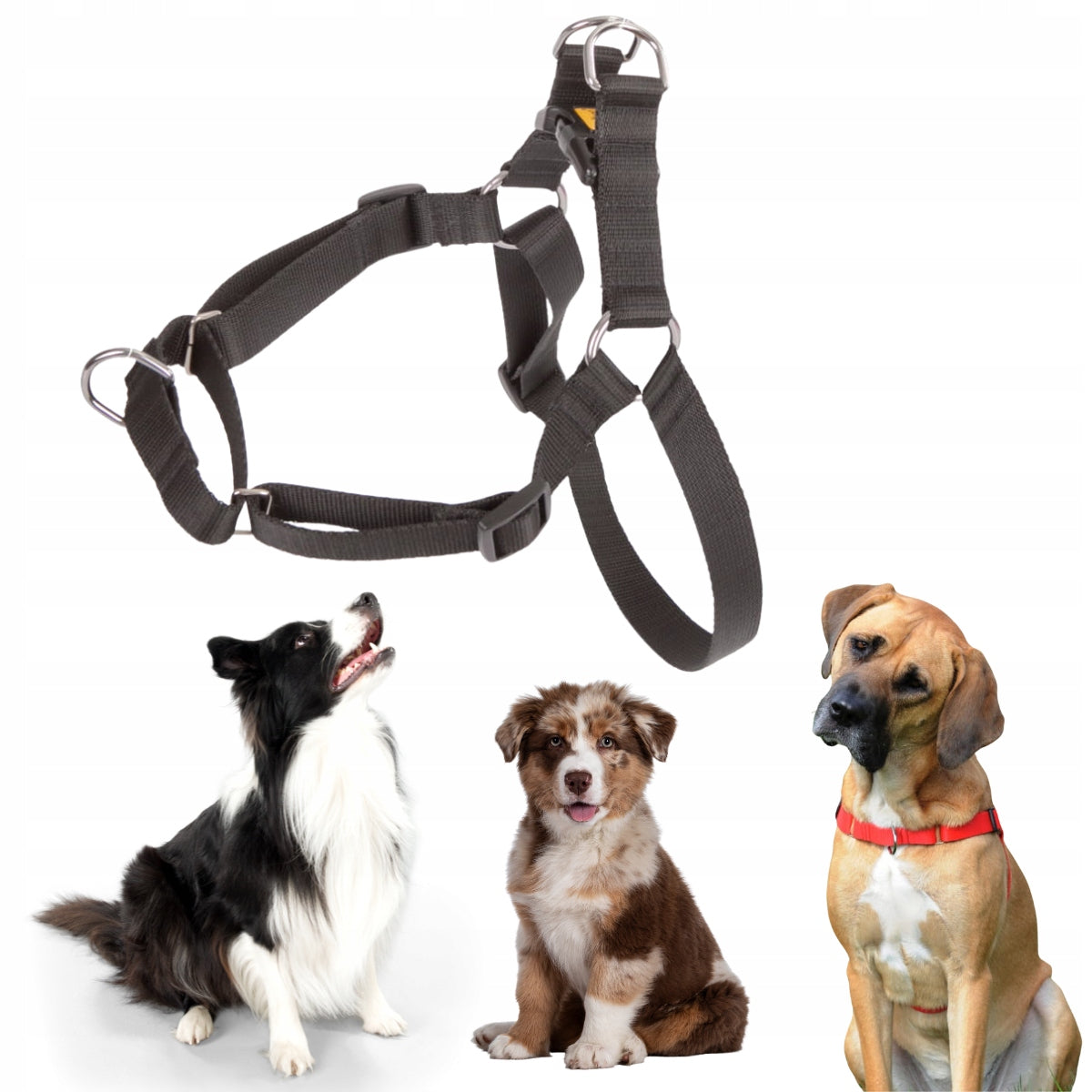 WALKING HARNESS BLACK EASY WALK FOR DOG ADJUSTABLE TAPE 1,6CM 48-64 CM