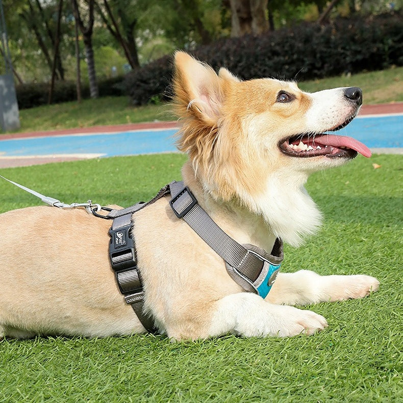 WALKING HARNESS FOR DOG ASTRO BLUE R. S ACCESSORIES FOR Brand Gockowiak