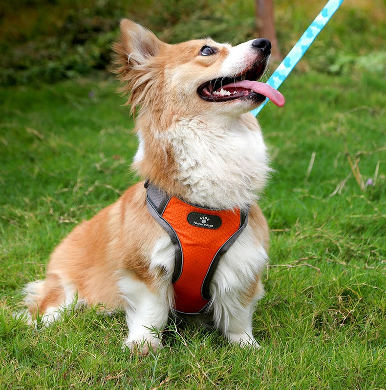WALKING HARNESS FOR DOG ASTRO ORANGE R. M FOR HOLIDAYS Manufacturer code 4904787818796