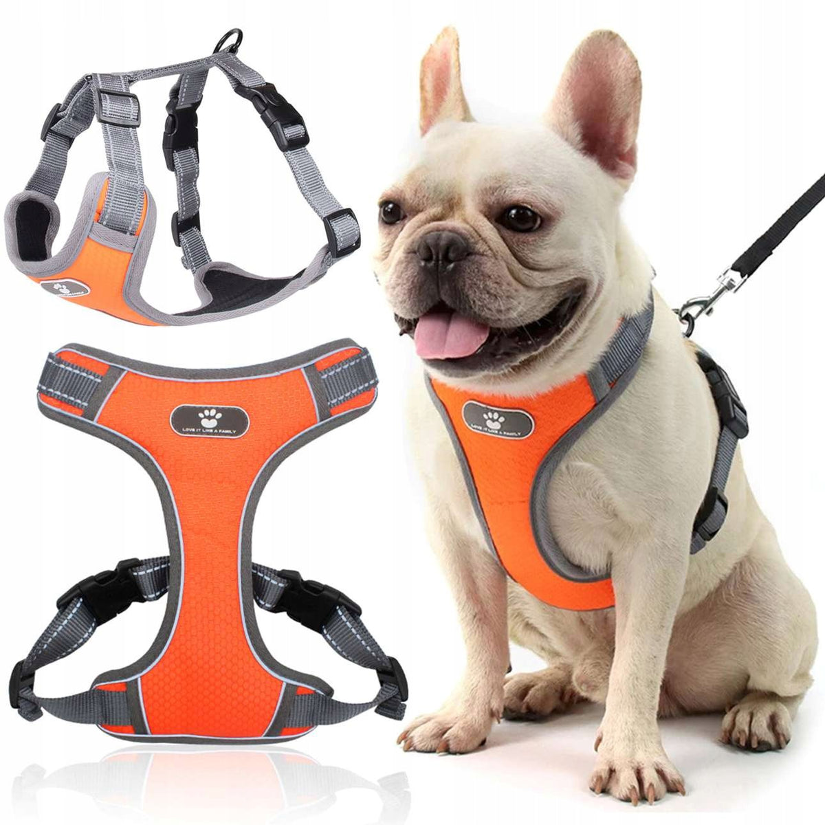 WALKING HARNESS FOR DOG ASTRO ORANGE R. M FOR HOLIDAYS