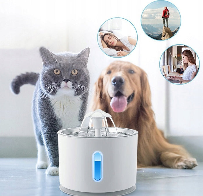 WATER BOWL WITH A FOUNTAIN FOR CAT DOG, AUTOMATIC LED Brand Reverse