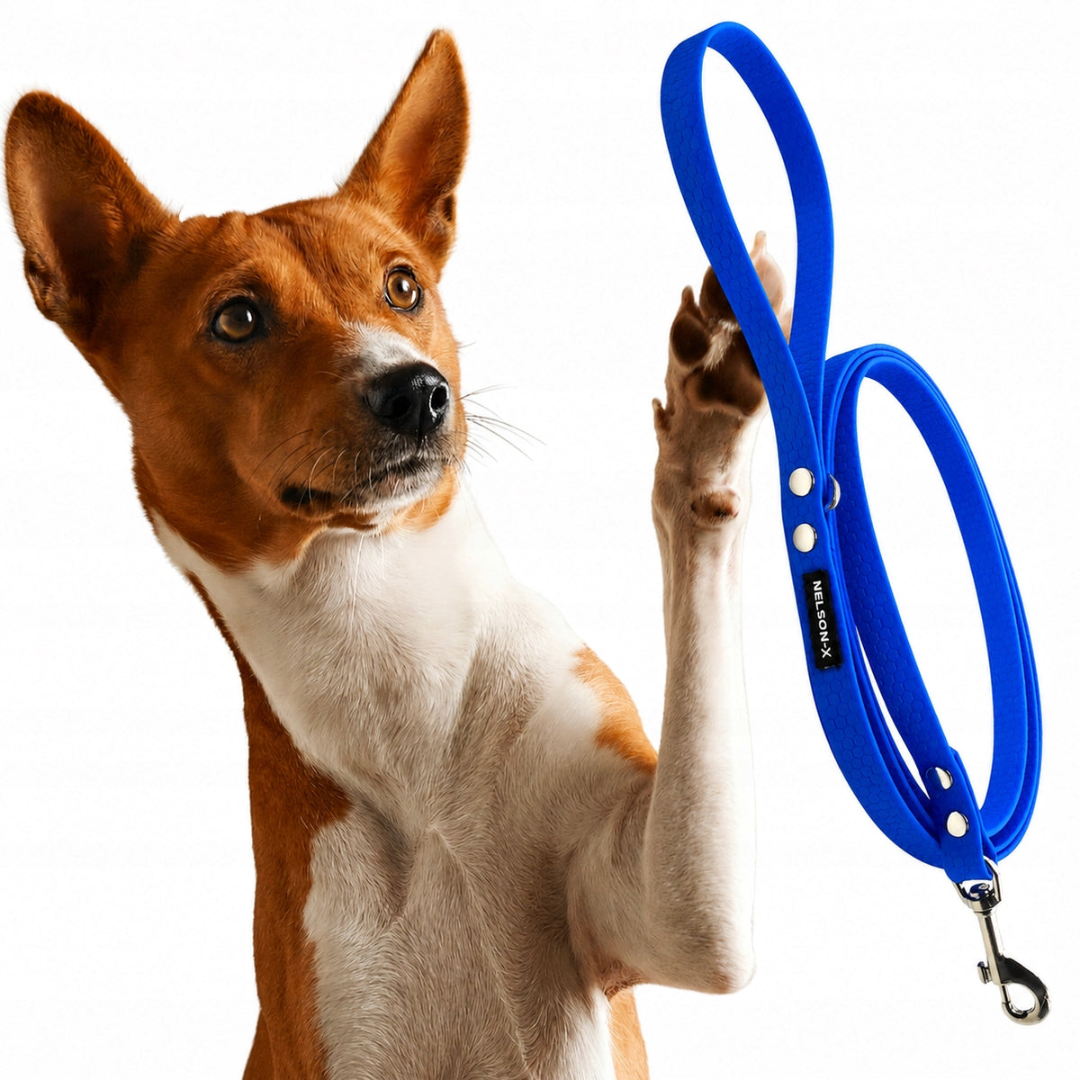 WATERPROOF DOG LEASH BIOTHANE TRAINING NELSON-X STRONG 2M/1,5 cm STD