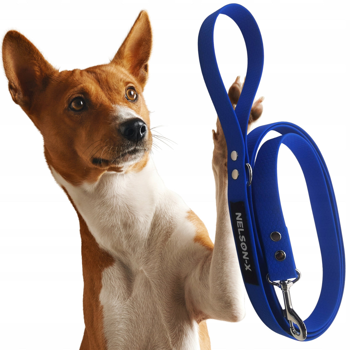 WATERPROOF LEASH FOR DOG BIOTHANE TRAINING 2m/2,5 cm STD