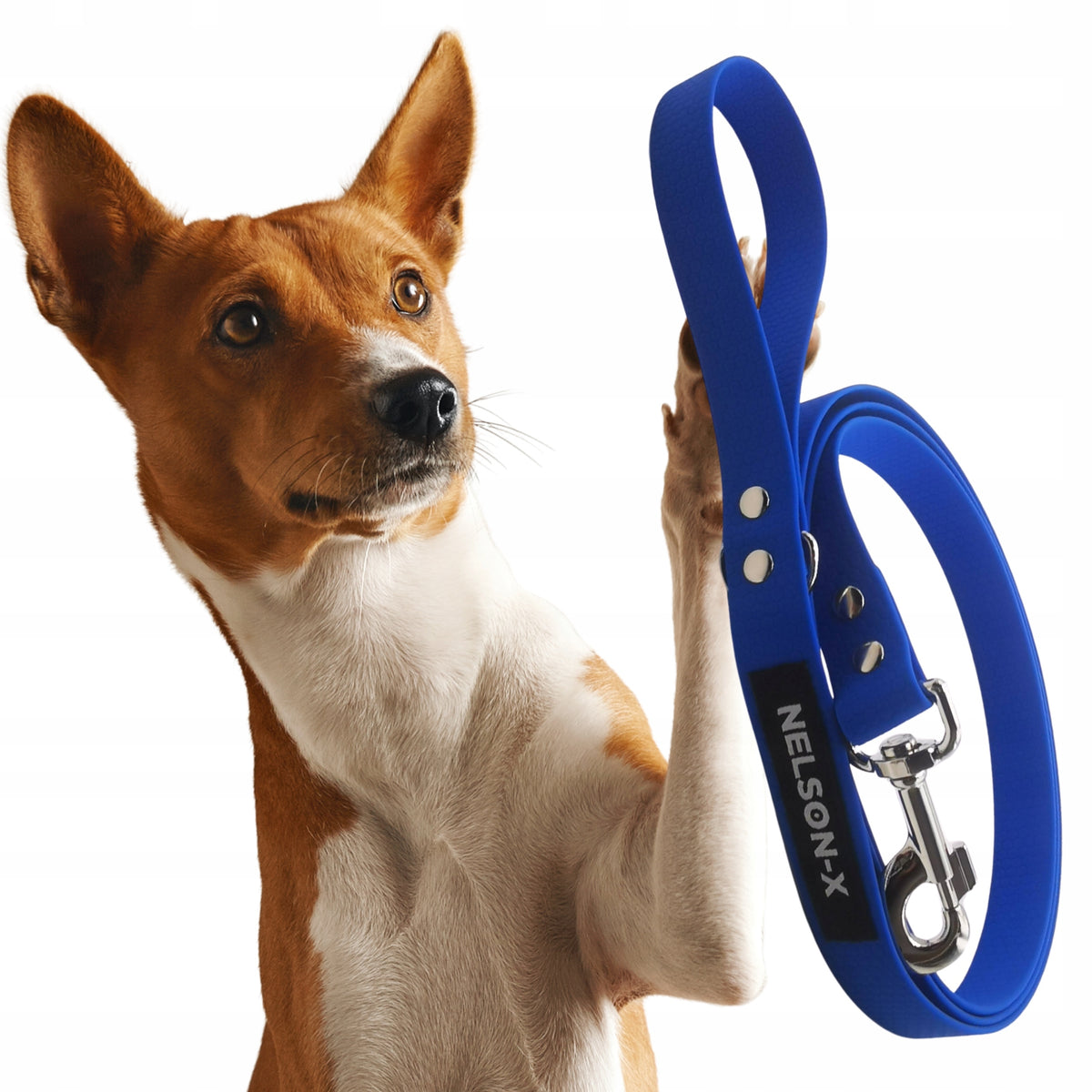 WATERPROOF LEASH FOR DOG BIOTHANE TRAINING NELSON-X 2m/2,5 cm REINFORCED