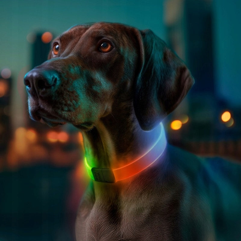 WAUDOG LED RGB Dog Collar with Backlight (25 mm x 60 cm) Manufacturer code 5289