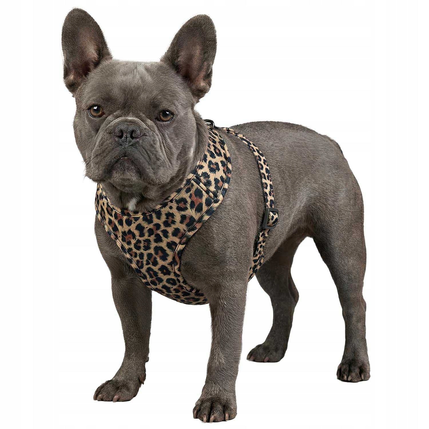 WAUDOG Mesh dog harness breathable with QR address card, "Lampart" pattern, L Manufacturer code 235-4066