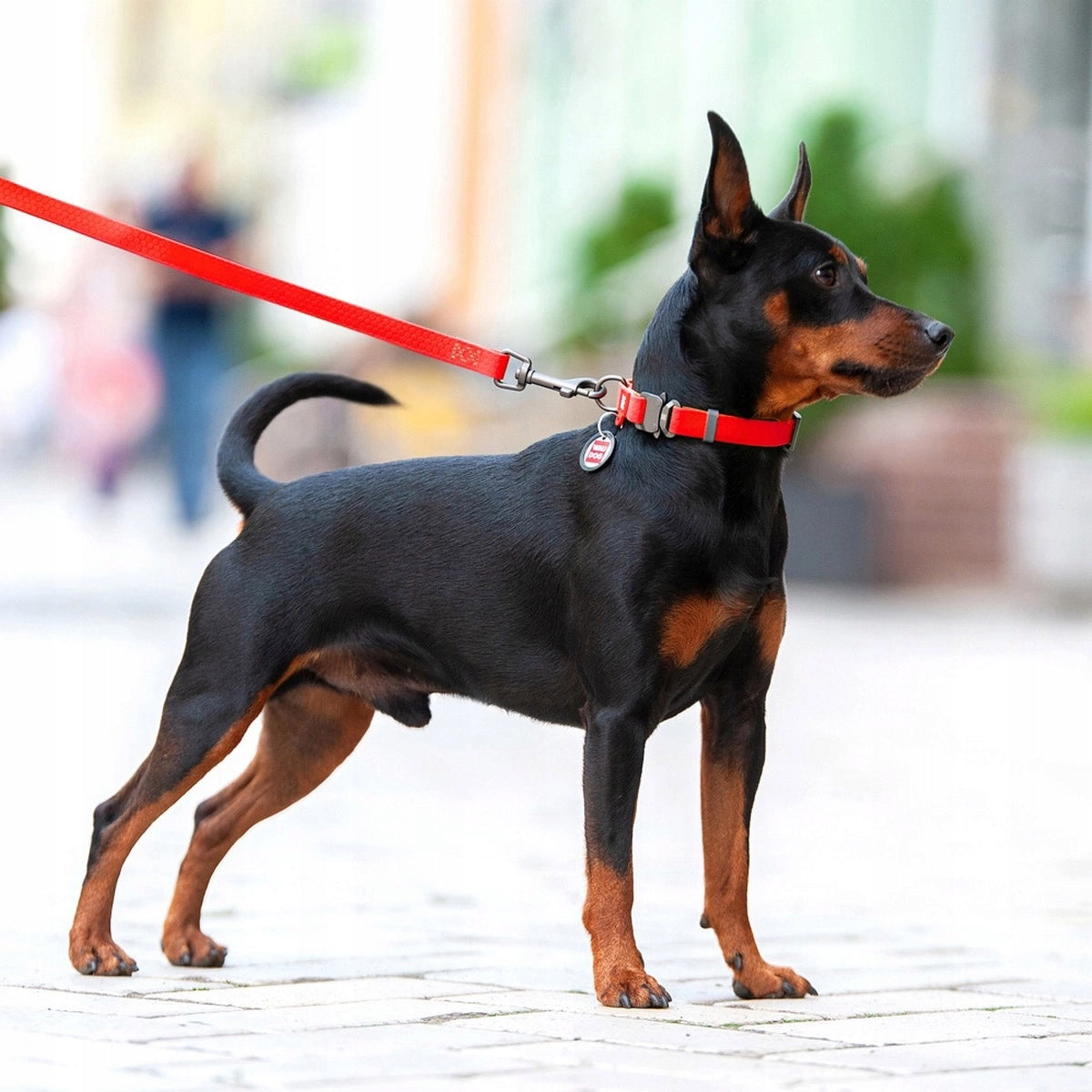 WAUDOG Waterproof Dog Leash 2,0/305cm Red Brand Waudog