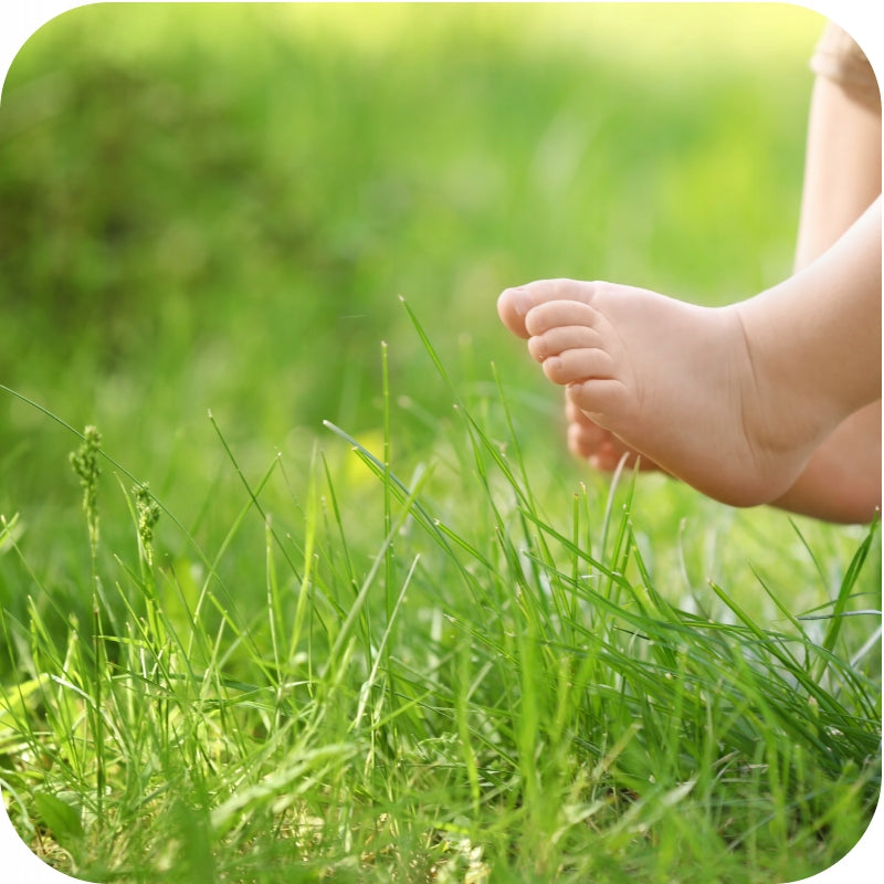 WEED AGENT IN GRASS SPRAYING PREPARATION CLOVER DICOTEX 202 SL 100ML Manufacturer Twój Ogród
