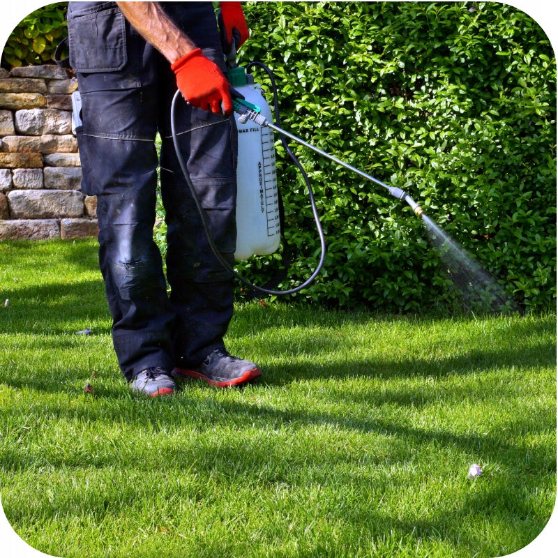 WEED REMEDY IN GRASS OLD LAWNS 250ml for dicotyledonous weeds Manufacturer Twój Ogród