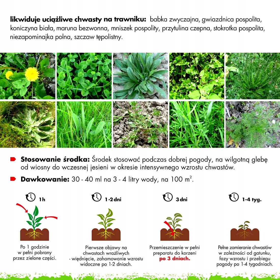 WEEDOX COMPLEX 260EW 1L WEEDS LAWN DANDELION CLOVER KNOTWEED PROFX. Manufacturer Ciech