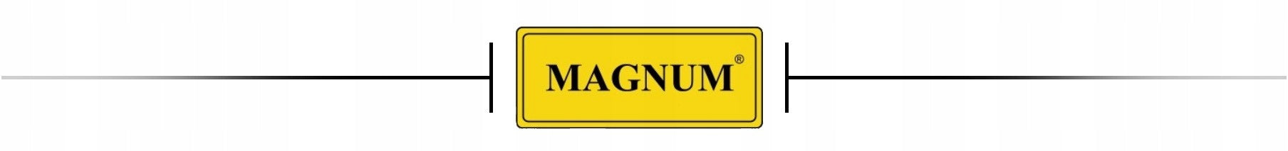 WELDING MACHINE MIG/MAG MAGNUM MIG 221 DUAL PULSE SYNERGY 4X4 200A 230V Brand Magnum