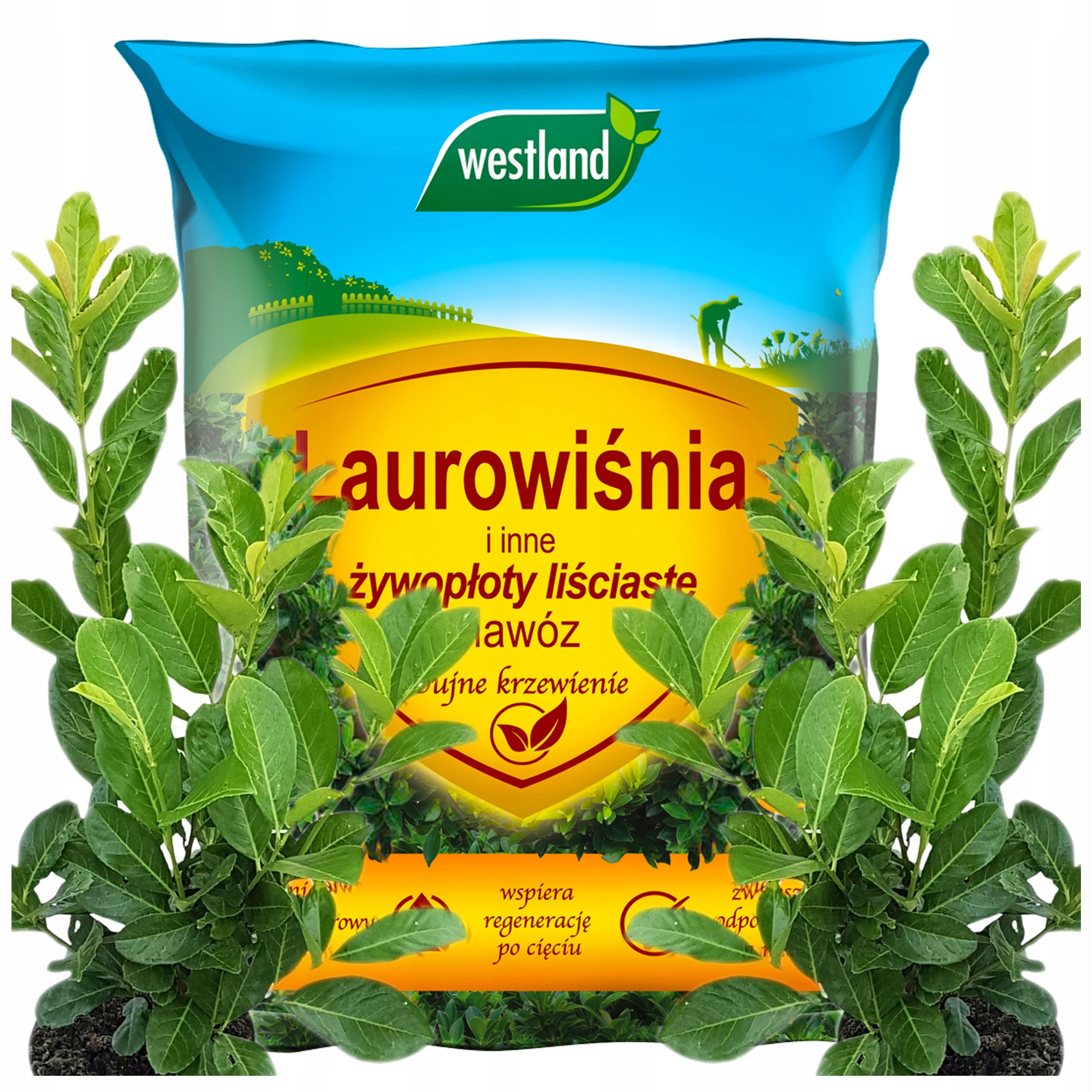 WESTLAND FERTILIZER FOR LAURELS AND OTHER DECIDUOUS HEDGES SPREADING 5KG