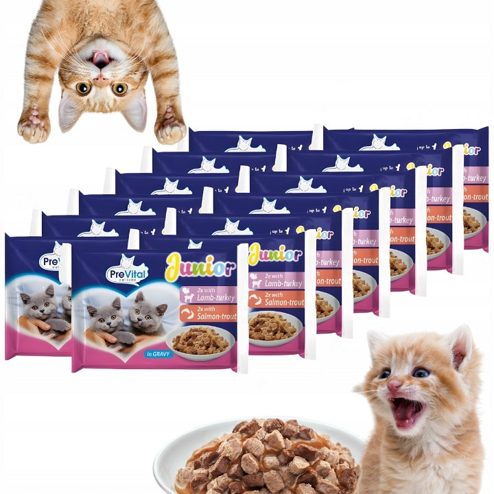 WET CAT FOOD PREVITAL JUNIOR 52 X 100G SACHETS FOR KITTENS MIX
