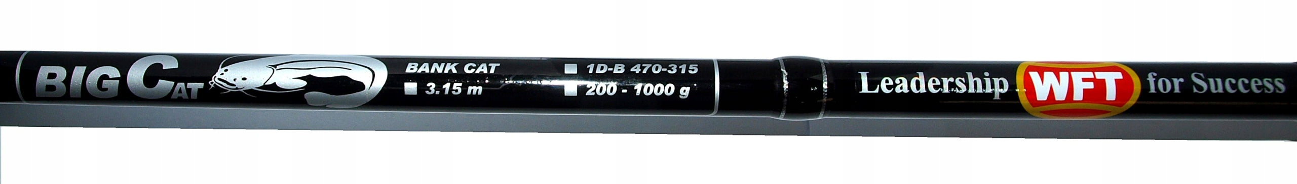 WFT BIG CAT bank cat 200-1000g, 3,15m, PER SUM EAN (GTIN) 4250336188873