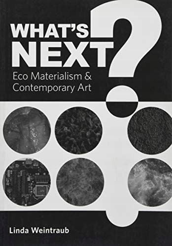 What's Next?: Eco Materialism and Contemporary Art