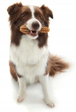 WHIMZEES Toothbrush Dog Teether S 1pcs Brand Whimzees