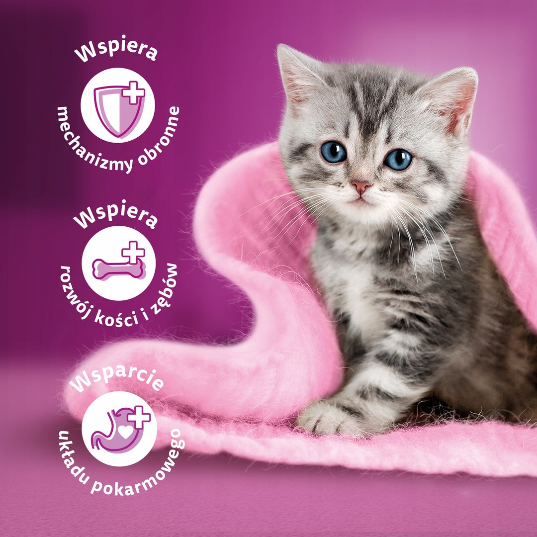 WHISKAS JUNIOR 800g CHICKEN Packaging status original