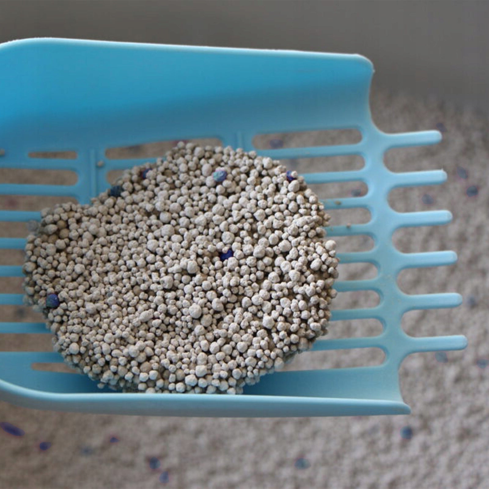 WHITE BENTONITE CAT LITTER FOR LITTER BOX WITH SOAP SCENT 5L Volume 5 l