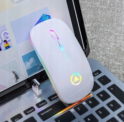 WHITE QUIET WIRELESS LAPTOP MOUSE BACKLIT Manufacturer DSJ