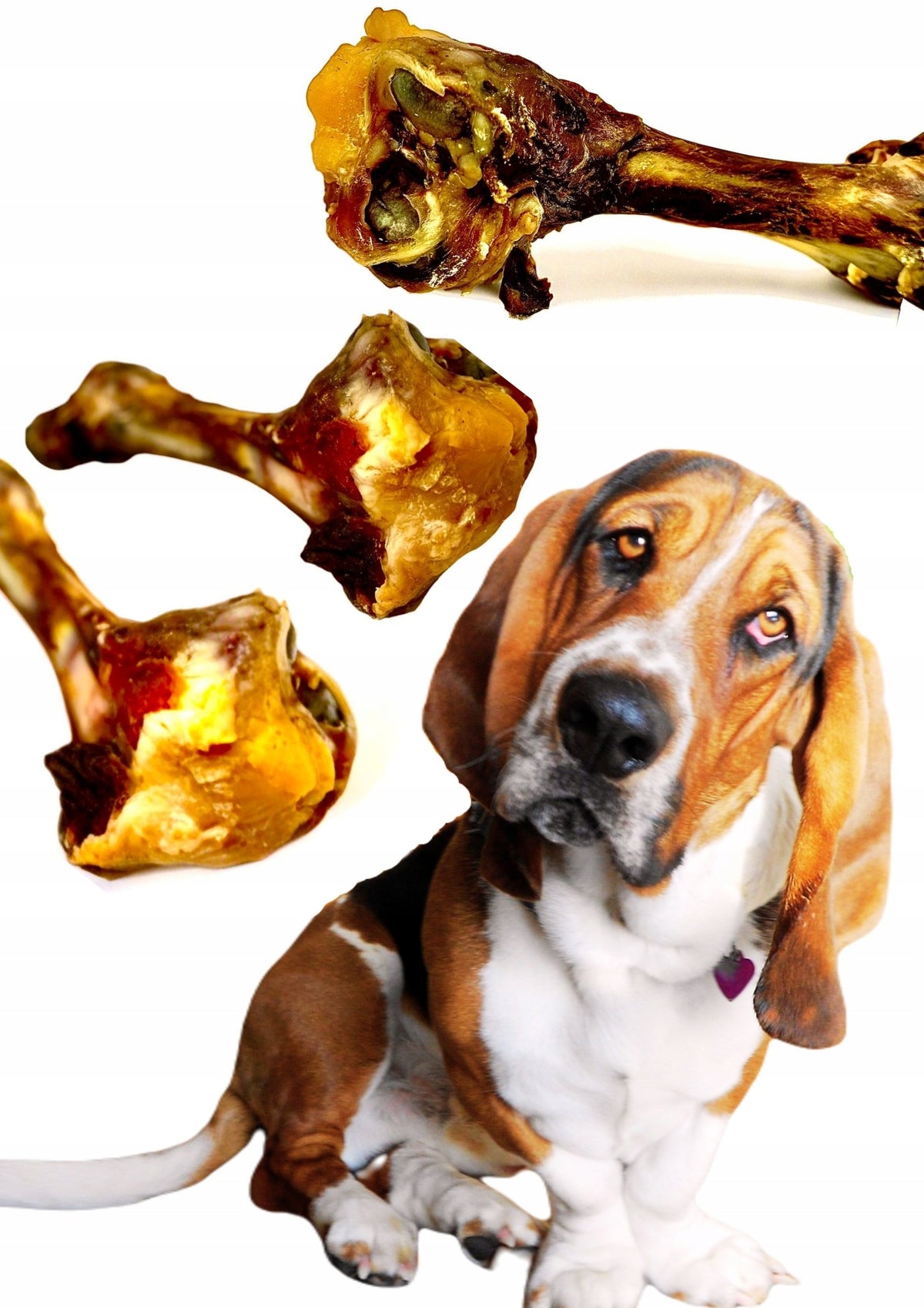 WILD BOAR RUT BONE PCS 1 VENISON NATURAL TEETHER DOG TREATS