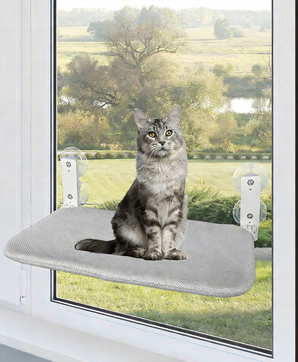 WINDOW CAT HAMMOCK FOLDING WITH SUCTION CUP LOAD CAPACITY 20 KG EASY INSTALLATION Manufacturer code HAMAK DLA KOTA LEGOWISKO