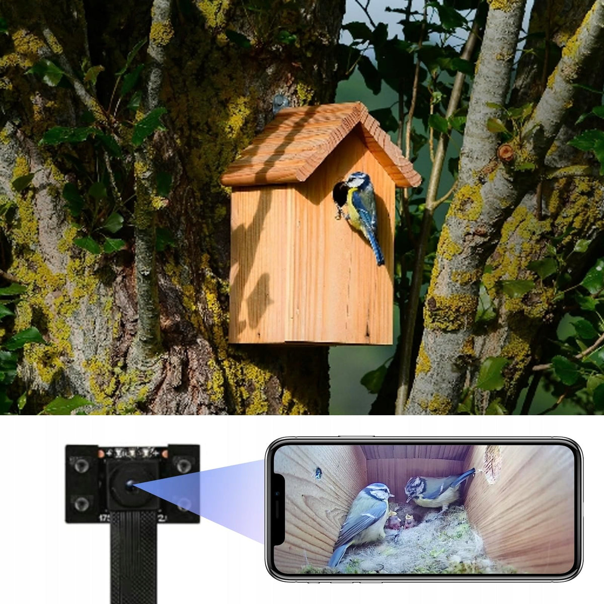 WIWACAM 4K Mini WLAN Camera For Breeding Boxes With Live Broadcast