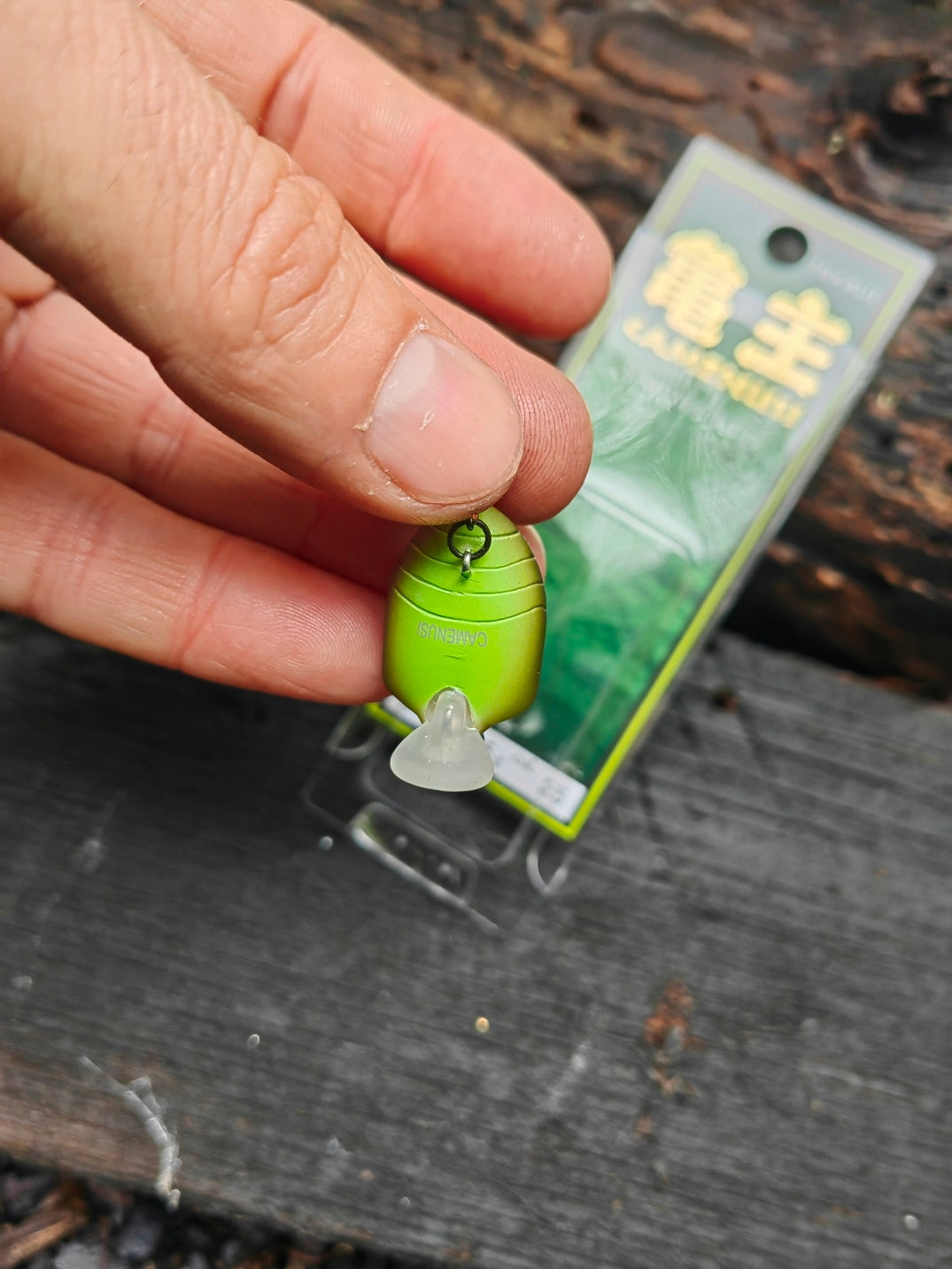 WOBBLER SMITH CAMENUSI FLOATING IMITATION BEETLE - 31 mm - 2,5 g #25 Brand Smith's
