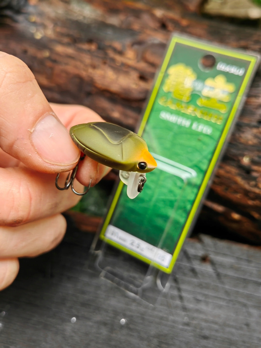 WOBBLER SMITH CAMENUSI FLOATING IMITATION BEETLE - 31 mm - 2,5 g #25