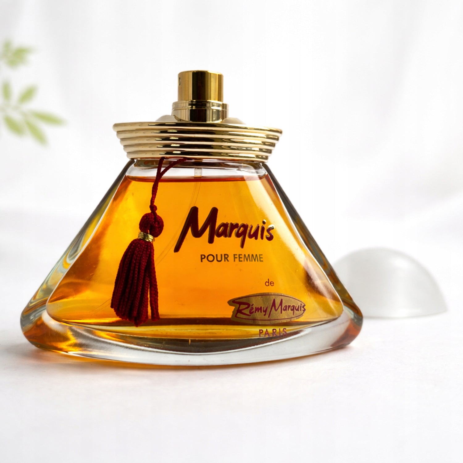 WOMEN'S PERFUME Remy Marquis Marquis Perfumed Water 100 ml Manufacturer code MM34341