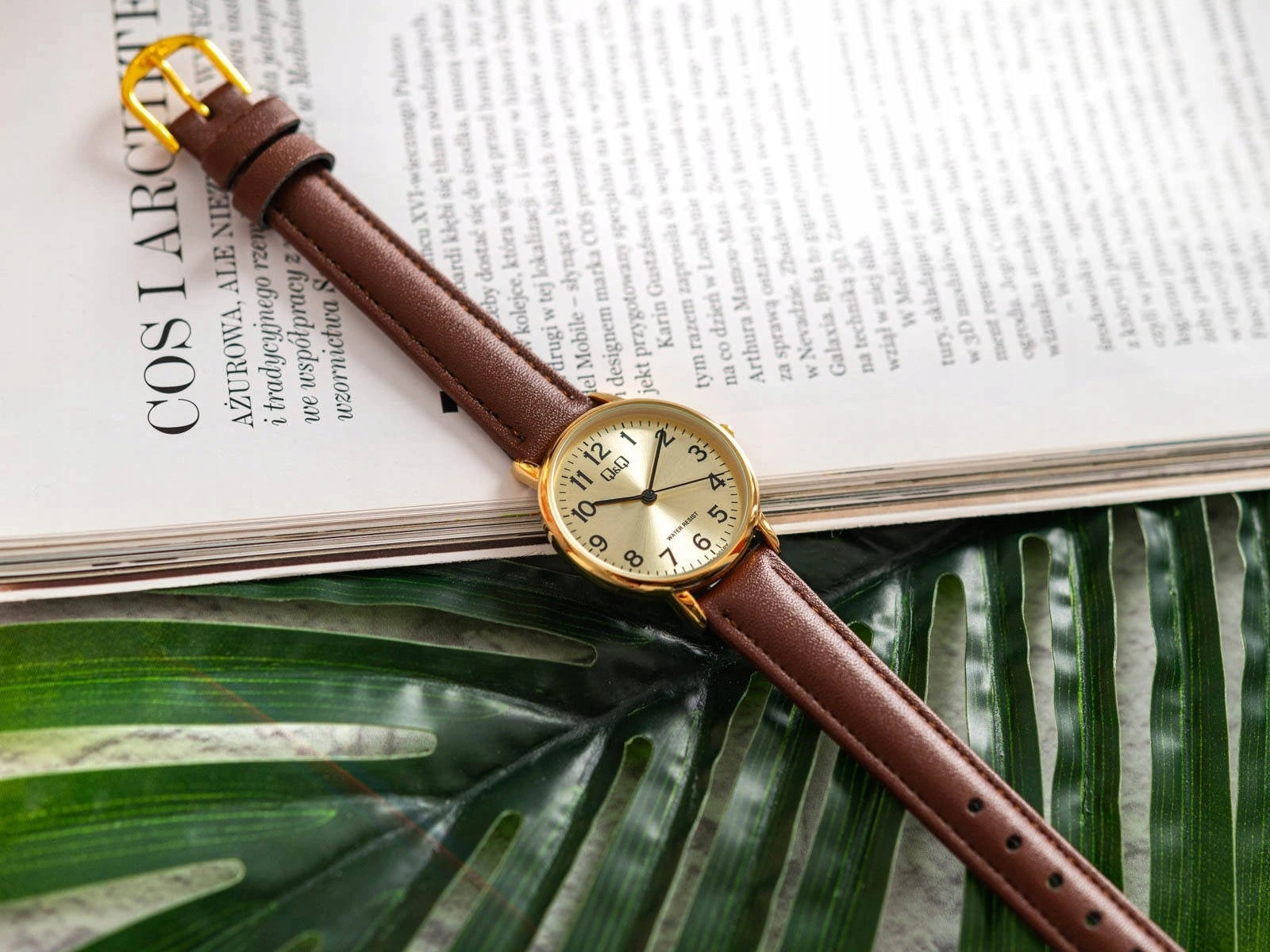 WOMEN'S WATCH QQ C65A-001PY CLASSIC ON STRAP BROWN ELEGANT READABLE Gender woman