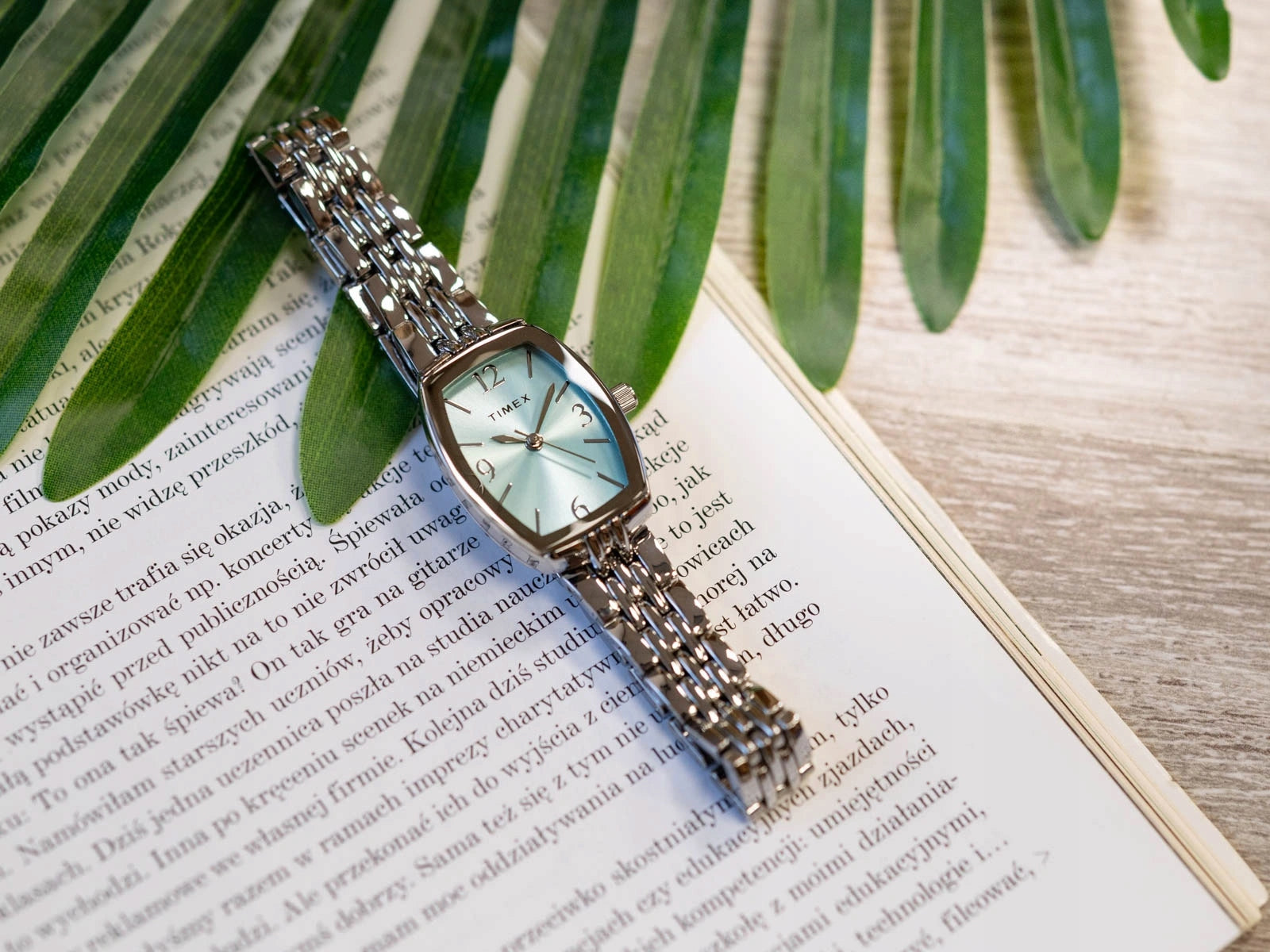 WOMEN'S WATCH TIMEX TW2Y22500 CHARLOTTE SILVER ON BRACELET Brand Timex