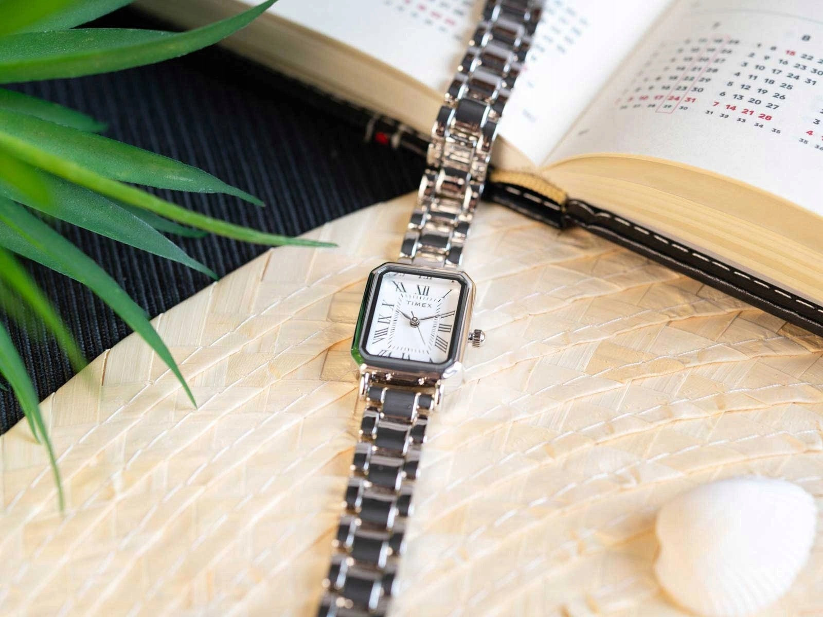 WOMEN'S WATCH TIMEX TW2Y57900 VIVIENNE SILVER ON BRACELET Brand Timex