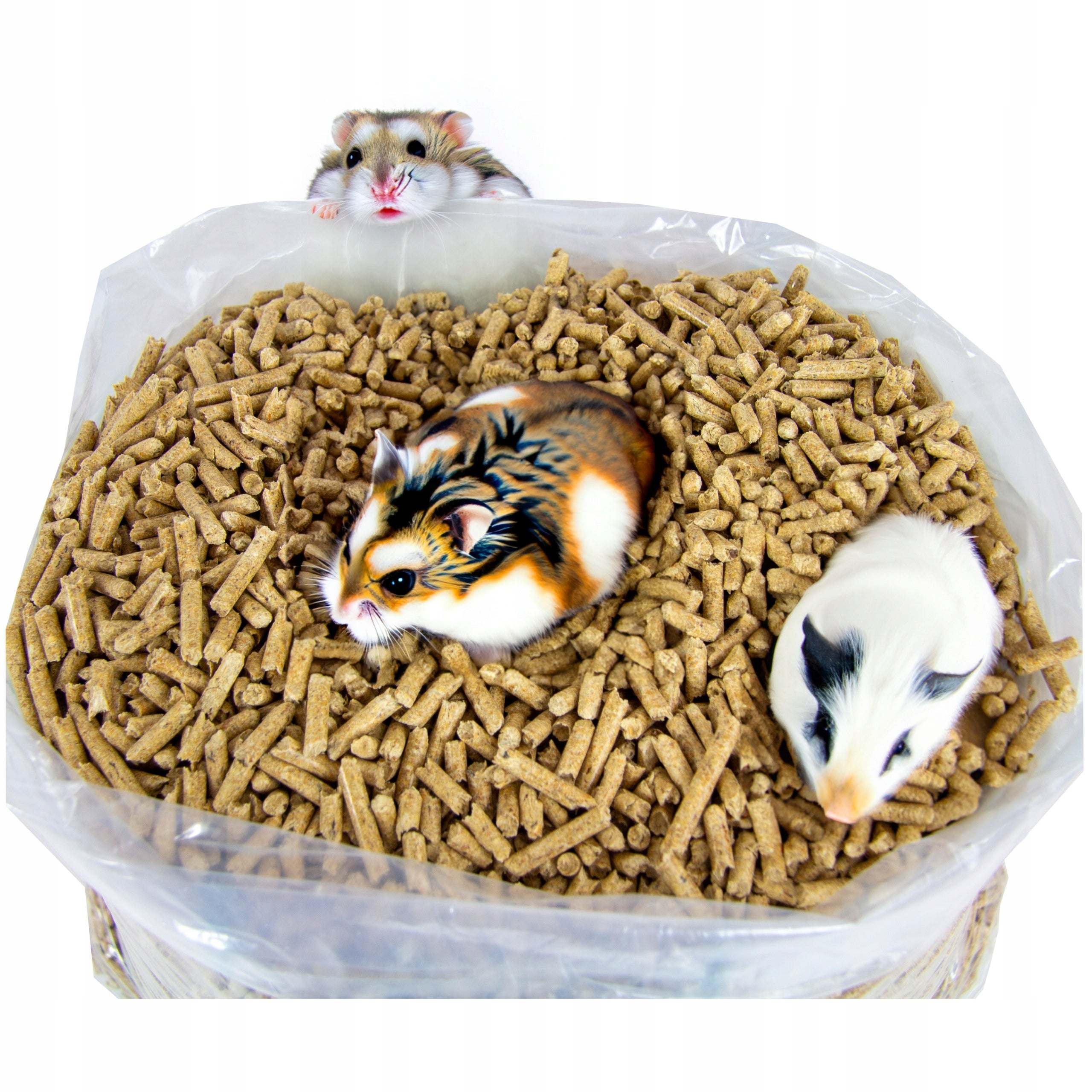 WOODEN LITTER For Cat Natural Pine Pellet For Rabbit Rodents 10kg Brand Świateka