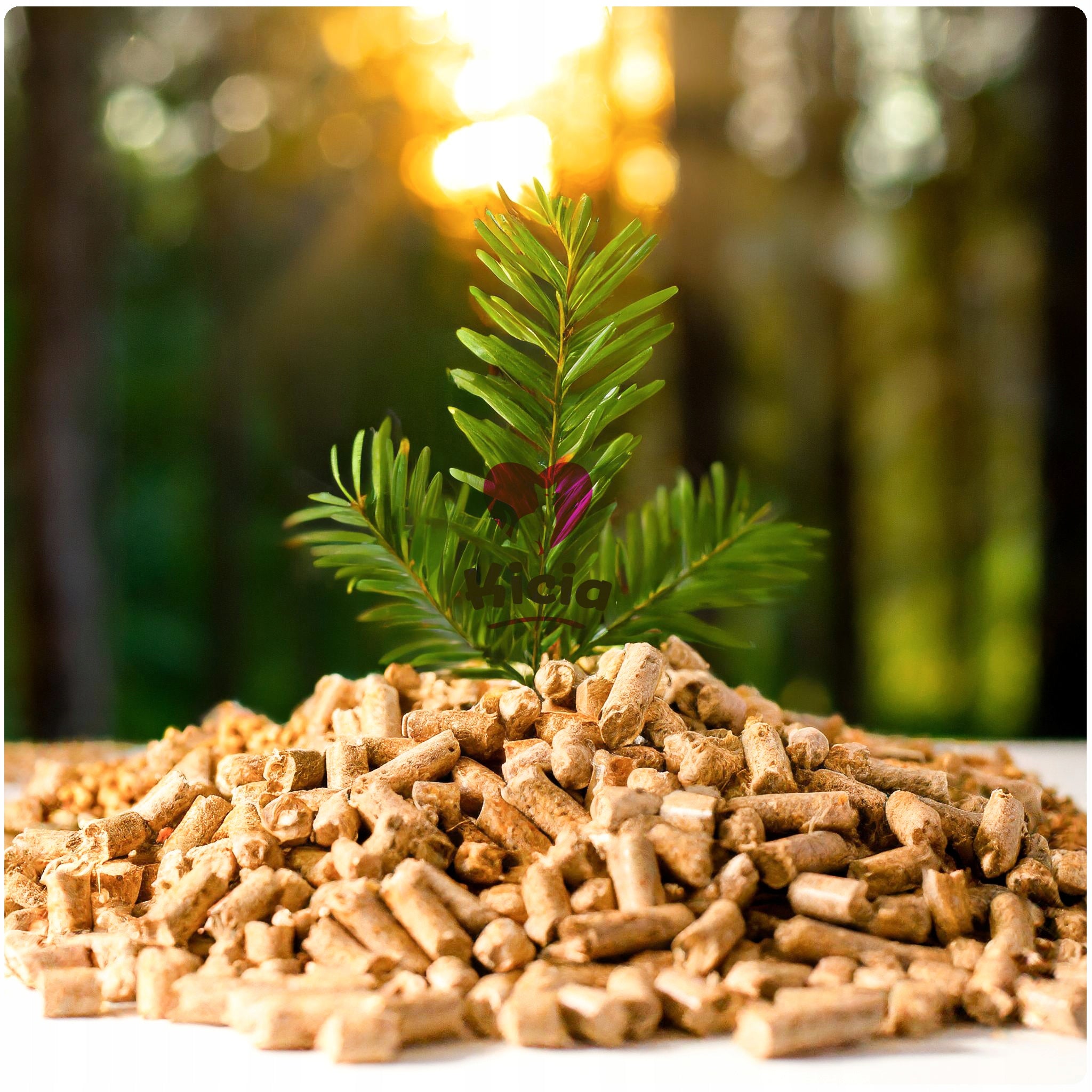 WOODEN PINE LITTER 2x10KG SUBSTRATE FOR LITTER BOX RABBIT CAT CAGE Brand FloraZoo