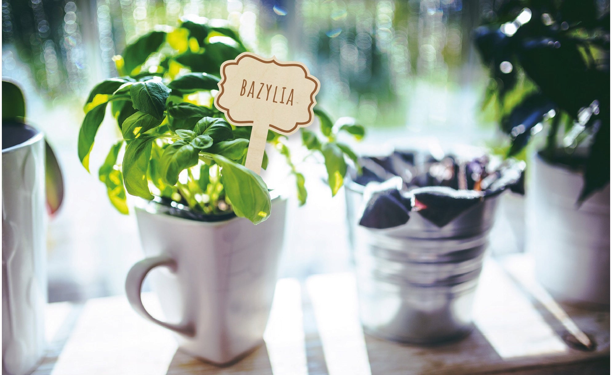 WOODEN PLATES labels for herbs PLANTS engraving Brand no brand