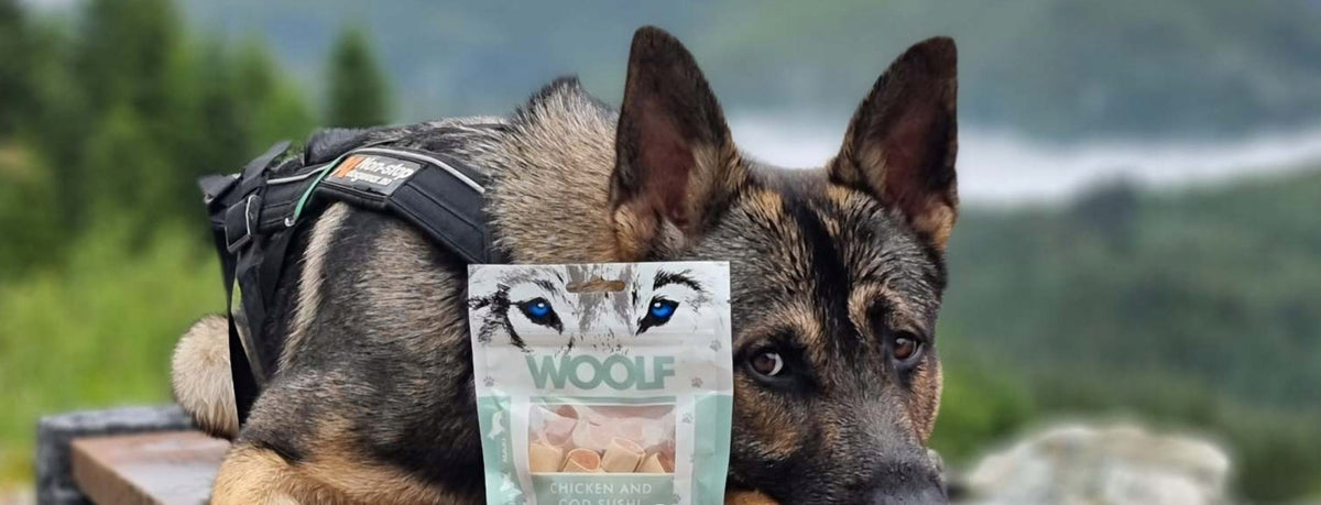 WOOLF Rabbit Cube Treat for Dogs 100g Manufacturer code 859417855525