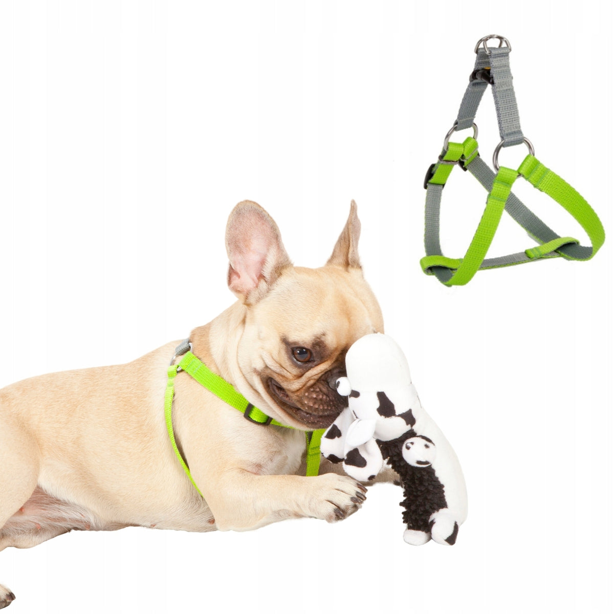 Walking harness Dingo 40x12mm Manufacturer code 94659