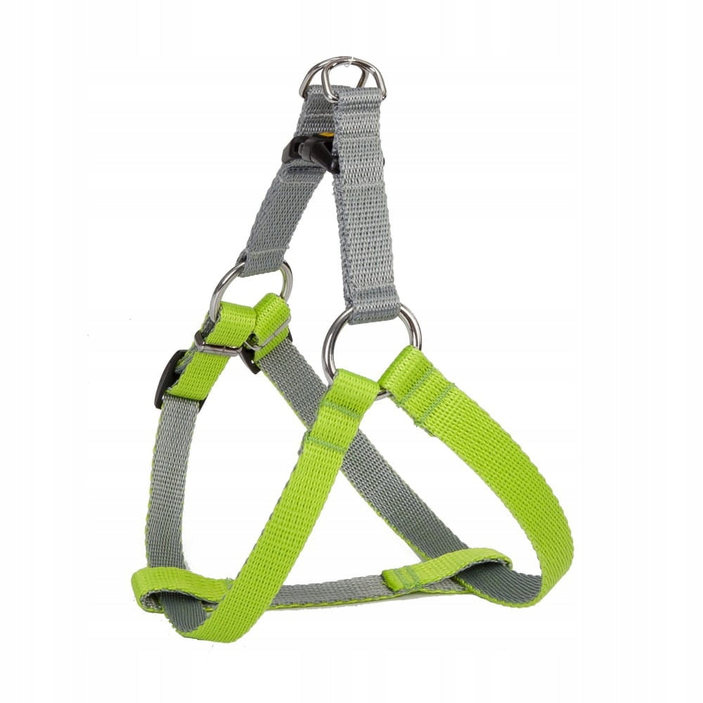Walking harness Dingo 40x12mm