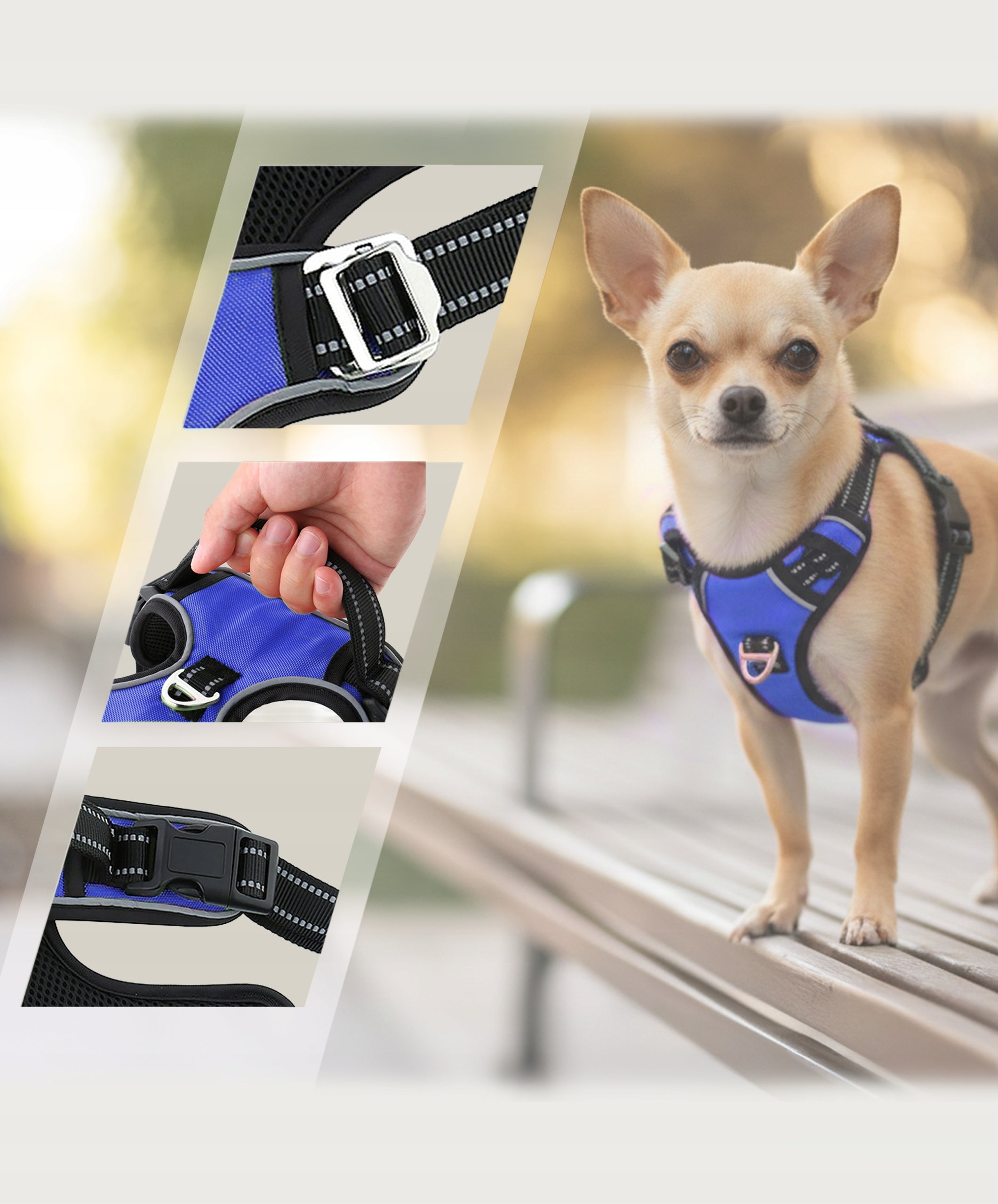 Walking harness for Maltese chihuahua type guard HUGGY DOGGY comfortable XS Manufacturer code Szelki dla psów HUGGY DOGGY Walky Guard