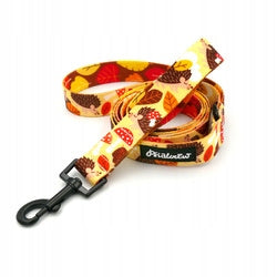 Walking leash Hedgehog Dreamer Psiakrew 160 cm