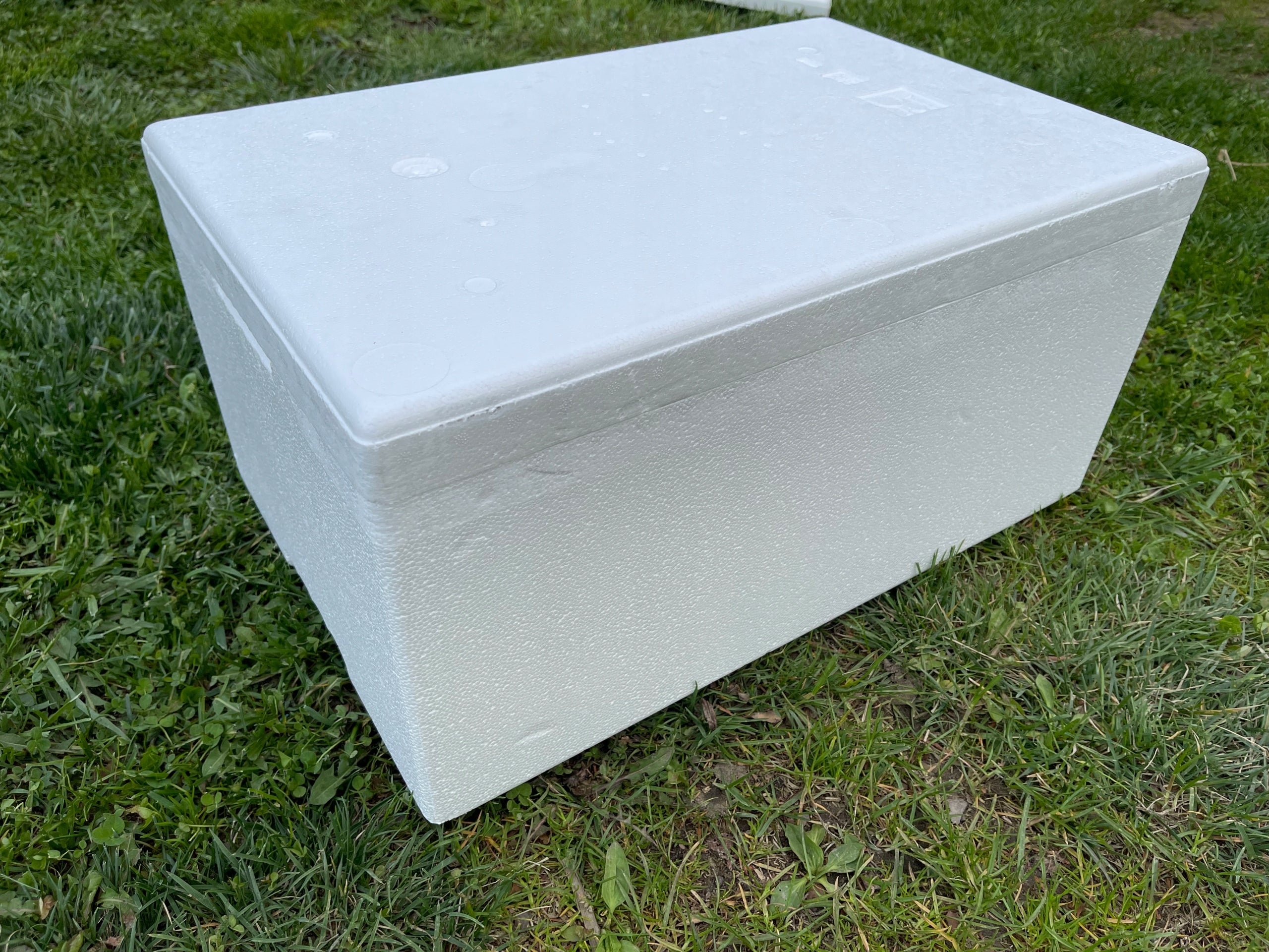 Warm cat booth Styrofoam white house insulated for outdoor court