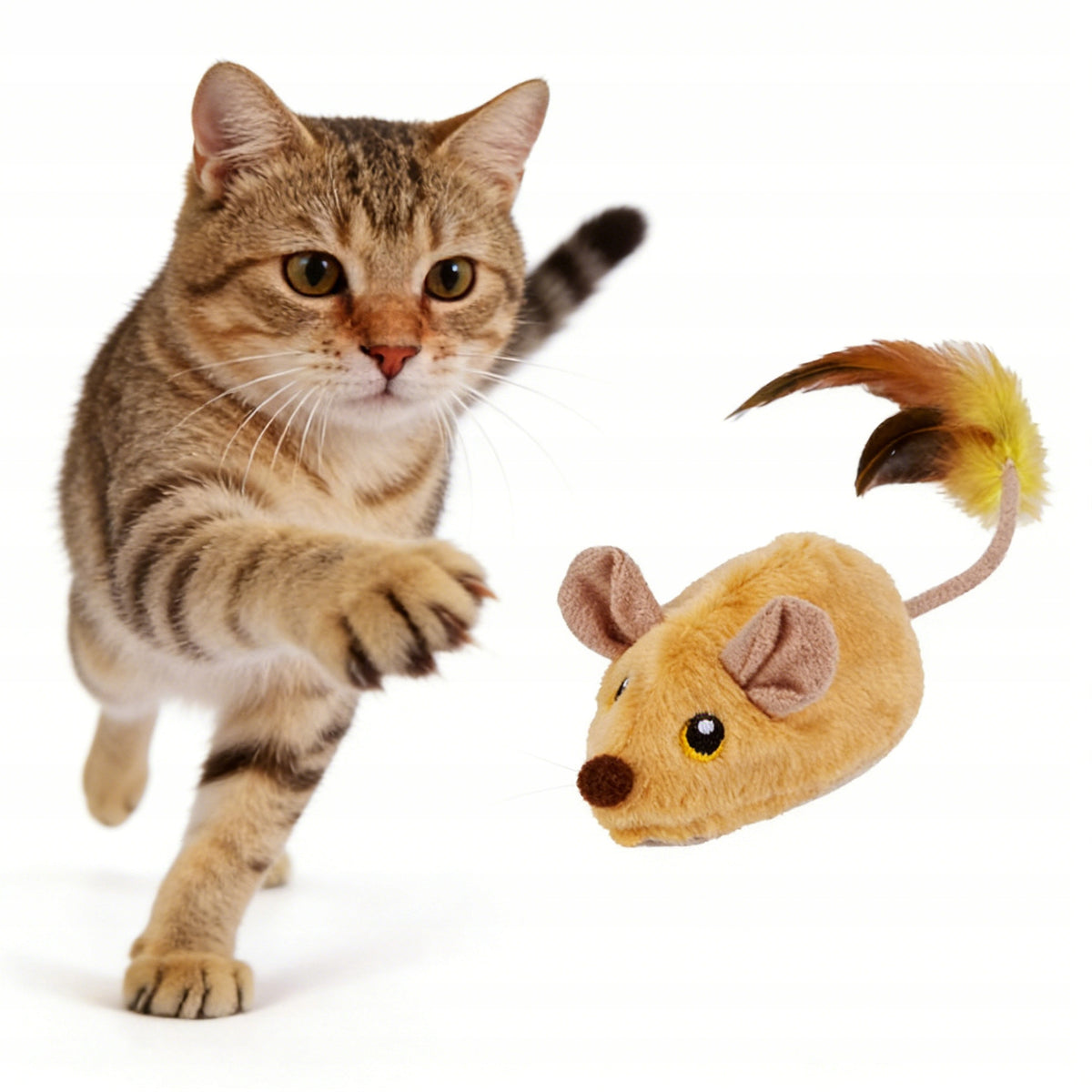 Washable Electric Cat and Mouse Toy USB Charged Packaging status original