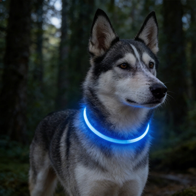 Waterproof LED Dog Collar 70cm Blue Rechargeable Manufacturer code Purrtiny7900