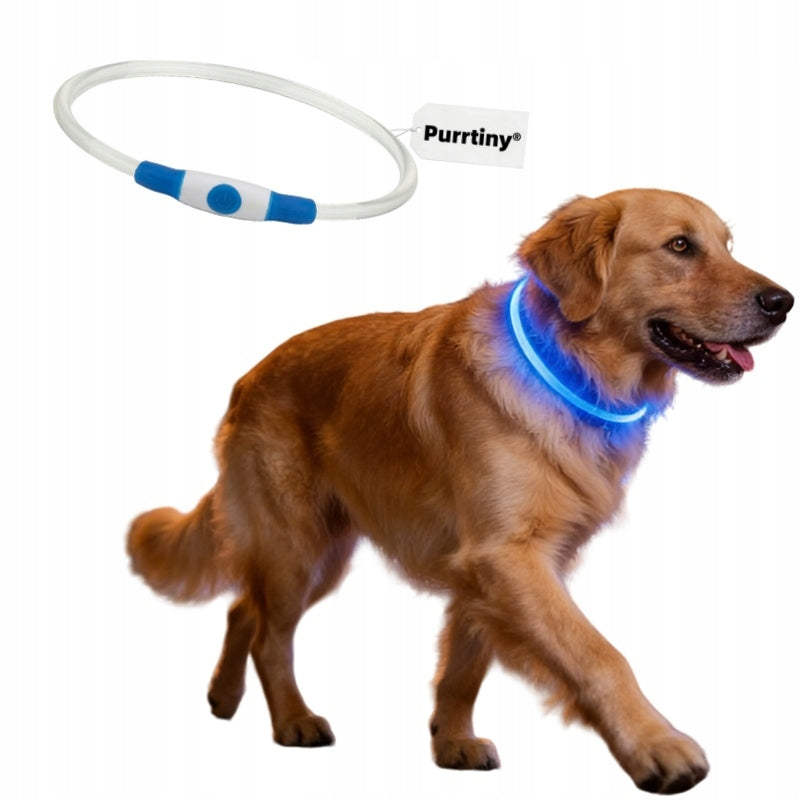 Waterproof LED Dog Collar 70cm Blue Rechargeable